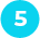 check-box-icon